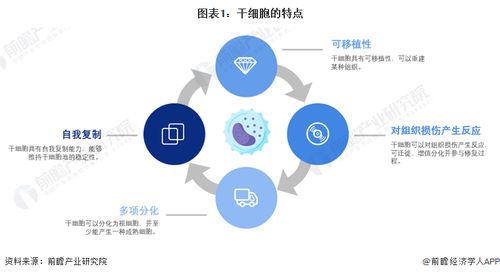 干細胞技術前沿預測 裴鋼院士強調生物醫(yī)藥產品開發(fā)需融合網絡技術的三大核心要素